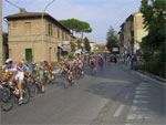 gal/2005/2005-10 Fondo Valdarbia 2005/1 - Partenza/_thb_CIMG0337-01.jpg